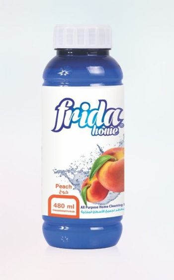 Frida Floor Freshener 480ml Apricot