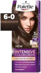 صبغة باليت اشقر غامق 6/0