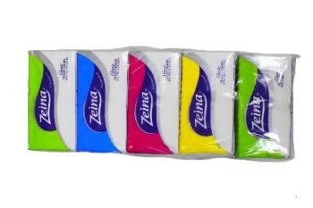 Zina pocket tissues pack of 10