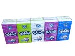 Familia Pocket Tissues Pack of 10