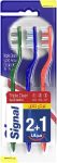 Signal toothbrushes  large 3 on a card