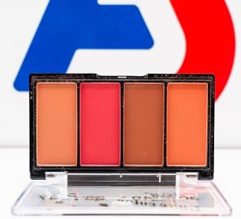 ساندرا بلاشر أربعة ألوان 598A - Sandra Blusher Four Colors 598A